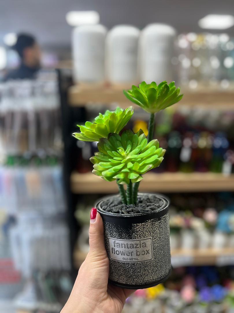 گلدان فلزی کاکتوس بزرگ