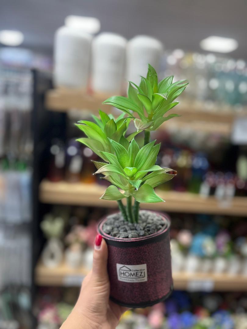 گلدان فلزی کاکتوس بزرگ